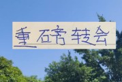 申花+深圳新鹏城大鱼都上岸 后面中超还有哪家会有重磅转会